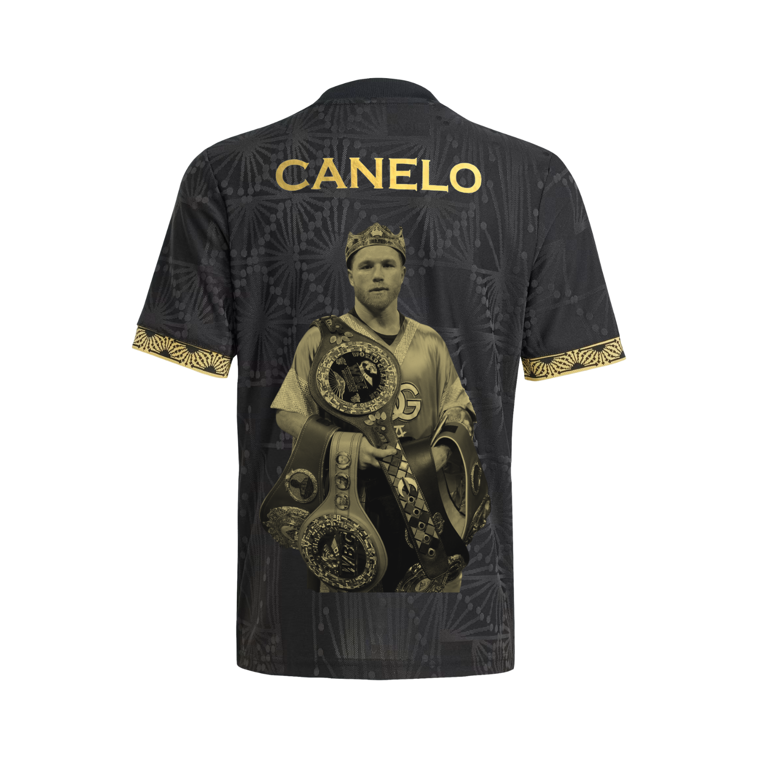 Canelo Álvarez x Mexico t-shirt